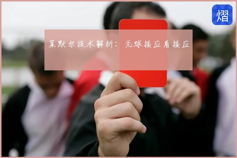 莱默尔技术解析：无球接应看接应